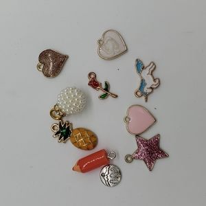 Assorted Charms